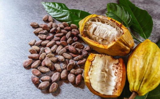 Why Cacao is So Good for You (and Why Cheap Milk Chocolate Isnât!)