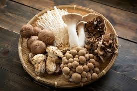 Unleash the Ultimate Mushroom Boost: Vibe Foodsâ Powerhouse Blend